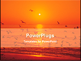  Power Point Template of - birds flying in beach at the moment of sunset - Royalty Free PPT