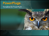  Power Point Template of -  - Royalty Free PPT