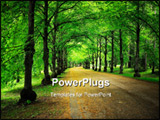  Power Point Template of - Shady road to park in the summer at midday - Royalty Free PPT