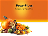  Power Point Template of - Traditional symbols of Thanksgiving Day Pumpkins Squash. - Royalty Free PPT