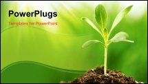  Power Point Template of - Young plant growing in sunshine Shallow Dof  - Royalty Free PPT